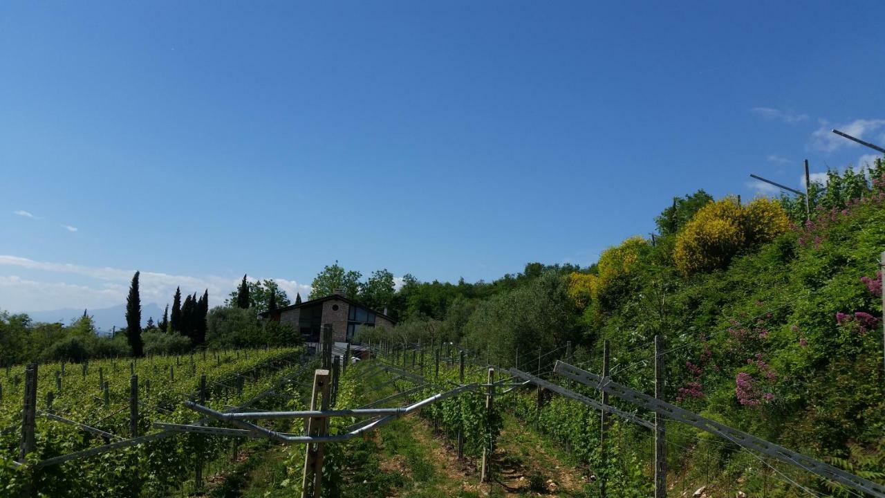 SantʼAmbrogio di Valpolicella "Cortela" Appartameni In Villetta Singola מראה חיצוני תמונה