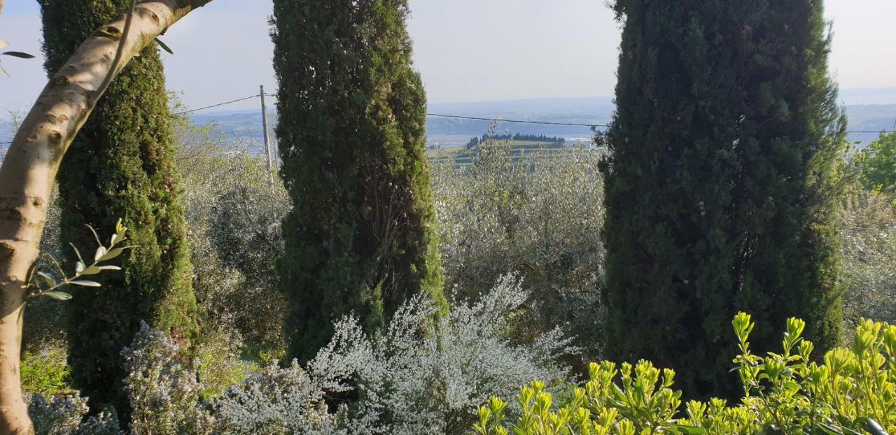 SantʼAmbrogio di Valpolicella "Cortela" Appartameni In Villetta Singola מראה חיצוני תמונה