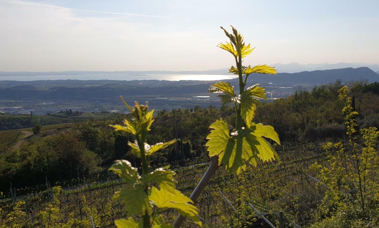 SantʼAmbrogio di Valpolicella "Cortela" Appartameni In Villetta Singola מראה חיצוני תמונה